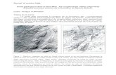 Sortie geologique Haut-Rhin - unistra.frassociation-philomathique.u-strasbg.fr/utilisateur... · la Forêt Noire appartiennent à une structure géologique majeure : le rift rhénan