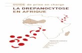 LA DREPANOCYTOSE EN AFRIQUE - CEA-SAMEFceasamef.sn/wp-content/uploads/2019/09/Guide-La... · 2019. 9. 7. · la pratique de prise en charge des patients dans le contexte des pays