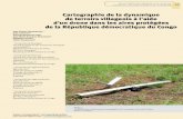 Cartographie de la dynamique de terroirs villageois à l ...bft.cirad.fr/cd/BFT_330_69-83.pdf · sées de 16,9 à 8,2 ha, les défriches de 4,1 à 10,0 ha. Les cultures saisonnières