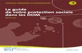 Le guide de votre protection sociale dans les DOM · Les cotisations sociales personnelles sont calculées sur la base de votre revenu professionnel pris en compte pour le calcul