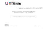 Université de Rouen UFR Sciences de l'homme et de la société …cirnef.normandie-univ.fr/wp-content/uploads/files/DER/... · 2018. 6. 13. · UFR Sciences de l'homme et de la sociét