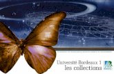 LES SCIENCES ET LES TECHNOLOGIES AU SERVICE DE L’HOMME ET ...terre-environnement.u-bordeaux.fr/content/download/33412/257620/... · sait que dès la création de la Faculté des
