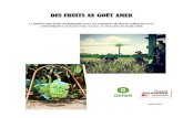 DES FRUITS AU GOÛT AMER - Oxfam Deutschland · monte, producteur travaillant avec Aldi, Edeka et Rewe, qui a licencié, à l'automne 2015, 50 ou- ... Mais ces fruits si doux ont