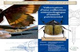 MARTINIQUE-ENTOMOLOGIEdata.over-blog-kiwi.com/0/91/31/79/20170426/ob_816162... · 2019. 9. 19. · Une collection entomologique datant des années 60 fut conservée durant plusieurs
