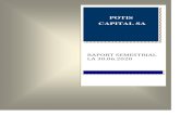 POTIS CAPITAL SAm.bvb.ro/info/Raportari/POTI/POTI-RS1_2020.pdf · cheltuieli in avans 1.207 1.205 datorii ce trebuie platite intr-o perioada de pana la un an 1.870 108.935 active