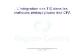 L’intégration des TIC dans les pratiques pédagogiques des CFA · Journée de restitution des travaux pédagogiques de CFA 24 octobre 2006 • Bilan des travaux 2005-2006 • L’usage