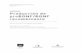 Producción de proBDNF/BDNF recombinante · Neurodegeneración del Institut Pasteur de Montevideo, para la expresión deínaotra prote homóloga ... de las familias de factores de