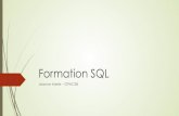20160617 Formation SQL - WordPress.comUn logiciel de développement SQL (« SQLTools » ou autre) Le paramétrage! Fichier TNSName.ora ! Variables systèmes Alias de la base Nom du