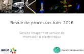 Revue de processus Juin 2016 - IBDM de processus 28 juin 2016.pdf · Revue de processus Juin 2016 Service Imagerie et service de microscopie électronique . Plan • Bilan horaire