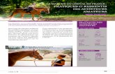 PRATIQUES RESSENTIS DES ACHETEURS AMATEURS - L’institut français du cheval et de l ... · circuit utilisé pour l’achat du cheval ayant fait l’objet de la première enquête,