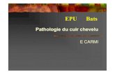 EPU Cuir chevelu Bats Cuir chevelu Bats.pdf · Les traitements de la calvitie à travers les temps Les premiers traitements utilisés contre la chute des cheveux dateraient de 4000