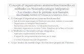 New Concepts d’organisations anatomofonctionnelles et méthodes … · 2011. 9. 16. · Concepts d’organisations anatomofonctionnelles et méthodes en Neurophysiologie intégrative:-Les