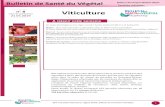 Viticulturedraaf.auvergne-rhone-alpes.agriculture.gouv.fr/IMG/pdf/...2019/05/21  · SV n 8, 2019 Viticulture, région AURA, édition du territoire rhônalpin 2 Vu dans les vignes