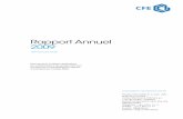 CFE - Rapport annuel 2009 - VINCI · 2010. 6. 23. · DEME, s’est vu attribuer par la Région Wallonne le marché pour la ‘Gestion des produits de dragage de catégorie B’,