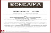 PB - Bonsaika 7 - p.11 - H ki-Dachi … · semis, car des sujets à Hôki ne courent pas les rues, les pépmiè- res traditionnelles, et encore moins dans la nature. Ainsi on gagnera