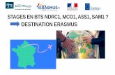 Information Erasmus+ BTS MUC 1 NDRC 1 ASS 1 SAM 1 · •Créé en 1987, le programme Erasmus est devenu Erasmus+ en 2014. Il permet aujourd'hui aux participants d'étudier, de faire