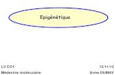 New Epigénétique - L2 Bichat 2012-2013l2bichat2012-2013.weebly.com/uploads/1/3/9/0/13905422/... · 2019. 9. 21. · Epigénétique Epigénétique = Etude des modifications transmissibles