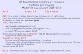 UE Biopathologie cellulaire et tissulaire Anatomie ... · Biopsie, pièce opératoire Techniques « standard » * fixation * inclusion * coupe * colorations * étude au microscope