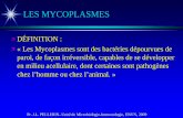 LES MYCOPLASMES - Weeblymagister05.weebly.com/.../9/1/7/5917861/les_mycoplasmes.pdfÊ« Les Mycoplasmes sont des bactéries dépourvues de paroi, de façon irréversible, capables