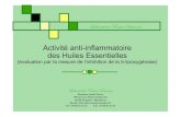 Activit£© anti-inflammatoire des Huiles Essentielles 2018. 10. 26.¢  Activit£© anti-inflammatoire des