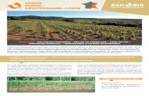 Bassin Rhône- méditerranée-corse5000 hectares de surface agricole convertis à la bio, et près de 70 communes engagées dans une démarche de réduction d’usage des pesticides.