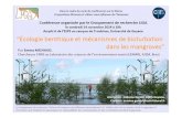 E....2-3 Km y-1) sur laquelle s’implante la mangrove 70 % of des mangroves francaises 80% du littoral guyanais une des plus fortes biomasses végétales aérienne au …