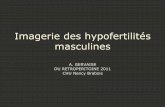 Imagerie des hypofertilités masculinesSecure Site f2school.com/wp-content/uploads/2020/09/... · 2020. 9. 11. · • Microlithiase testiculaire – Association avec la cryptorchidie