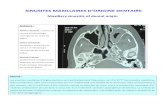 SINUSITES MAXILLAIRES D’ORIGINE DENTAIREwjd.um5s.ac.ma/attachments/article/48/Sinusites... · 2011. 12. 24. · SINUSITES MAXILLAIRES D’ORIGINE DENTAIRE Maxillary sinusitis of