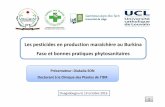 Pesticides en maraîchage au BF...OBJECTIFS DE L’ETUDE (1/1) 6 OG: Contribuer à l’analyse des risques sanitaires et environnementaux liés à l’usage des pesticides en culture