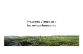 Pressions / impacts : les remembrementsatbvb.fr/sites/default/files/media/2017_05_04_atbvb... · 2017. 5. 5. · disparition de 59.5 km de cours d’eau, réduisant la densité de