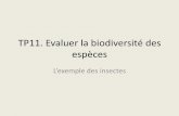 L’exemple des insectes - Académie de Bordeauxent2d.ac-bordeaux.fr/disciplines/svt/wp-content/uploads/sites/4/2016/... · Hahn Codophila varia 1787 Carpoco ris fuscispinus (Boheman