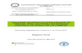 DEUXIEME REUNION DU SOUS-GROUPE DE TRAVAIL PFNL (SGT … · 2012. 6. 1. · Congo (CONADEC, République du Congo), ONG Croissance Saine Environnement (CSE, Gabon), Organisation Centrafricaine