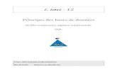 Livret - 12rmdiscala.free.fr/informatique/livrets/Livret_12_SGBD.pdfouvrages écrits sur Merise ou sur UML. vue vue Implanté physiquement Livret 12 : Principes des bases de données-(