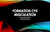 FORMATION CP5 MUSCULATION - EPS ... MUSCULATION CLASSIQUE . SALLE DE MUSCULATION . MACHINE DISPONIBLE . Calcul de charges de travail 1RM (Brzycki). Dépend fiabilité du test. Pb variabilité