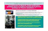Les palmeraies du Maghreb. Quelle amélioration génétique ...biotech-ecolo.net/palmier-dattier-amelioration.pdfColloque ‘Biotechnologies végétales et gestion durable des résistances