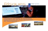 Mise en page 1...PCS réglementaires réalisés en Rhône-Alpes : 46,5 % PCS réglementaires réalisés en France selon la DGSCGC : 37, 5 % N°29_vers7.qxp:Mise en page 1 15/05/12