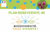plan biodiversite 46 - Lot · les associations, pour conforter et mettre en lumière les actions déjà conduites ou inciter à la mise en oeuvre d’actions nouvelles en faveur de
