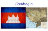 Cambogia - · PDF file Fauna La Cambogia ospita una popolazione di volatili che include pellicani, ardeidi, aironi, gru, pappagalli tropicali e martin pescatori. Sono presenti anche