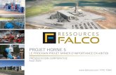 PRÉSENTATION CORPORATIVE Août 2020 - Ressources Falco...Initiés de Falco 1,7% STRUCTURE DU CAPITAL (31 JUILLET 2020) Actions actuelles (de base) 226 147 296 Options d’achat d’actions