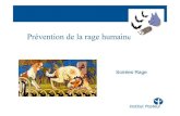 Prévention de la rage humaine - DRAAF PACAdraaf.paca.agriculture.gouv.fr/IMG/pdf/2-_prev__rage_hu... · 2016. 6. 13. · Affectant le segment de la population le plus pauvre et sans