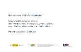 Réseau REA-Raisin Surveillance des Infections Nosocomiales ...rearezo.chu-lyon.fr/liens/Protocoles/protocole_rearaisin2008.pdf · Ce document est un cahier des charges, un outil