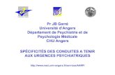 Garre Spécificités des CAT aux Urgences psychiatriques.ppt …psychaanalyse.com/pdf/PSYCHIATRIE_SPECIFICITES_DES... · 2013. 11. 25. · SPECIFICITES DES URGENCES PSYCHIATRIQUES