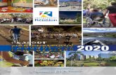 T 2020 - Page d'accueil Département de La Réunion · Département de La Réunion • Décembre 2019 ... Ce plan se concrétisera par le lancement effectif du CFA SAP (Centre de