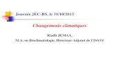 Journée JEC-BS, le 31/10/2013 · Pourcentage de diminution de la précipitation annuelle en Tunisie de 2020 à 2050 A l’horizon 2050, la baisse des moyennes pluviométriques annuelles