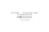 CO2 – Cycle du Carbone - obs-mip.fr...Figure 2 : Le cycle global actuel du carbone. Les flèches représentent les flux d'échanges de carbone en milliards de tonnes par an ou GT.an–1