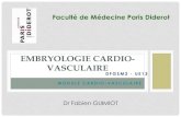 EMBRYOLOGIE CARDIO- VASCULAIREl2bichat2018-2019.weebly.com/uploads/1/1/2/5/... · • Les arcs aortiques . J16 (gastrulation) à J50 (cœur « 4 cavités ») < 5 sem WL Larsen, Churchill