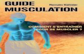 GUIDE MUSCULATIONvideo-musculation.com/wp-content/uploads/2014/12/Guide-de-musc… · ment lors de stimulations dont la fourchette de reps est comprise entre 6 et 20. Cibler les 8-12