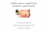 Infeksi jamur superfisial (mikosis superfisialis)repository.uki.ac.id/2508/1/Superficialfungalinfection.pdf–Poor personal hygiene –Poor nutrition –Wounds or multiple infections