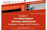 Chapitre 2 : Le diaphragme thoraco-abdominalcampus.cerimes.fr/media/disquemiroir/2015-06-09/UNF3Smiroir/pac… · UE5 - Anatomie du thorax. LES PAROIS DU THORAX LES PAROIS OSSEUSES