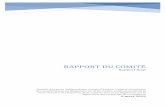 RAPPORT DU COMITÉ - Quebec · 2019. 3. 28. · RAPPORT DU COMITÉ Rapport final Comité d’experts indépendants chargé d’évaluer l’aspect sécuritaire des modifications au